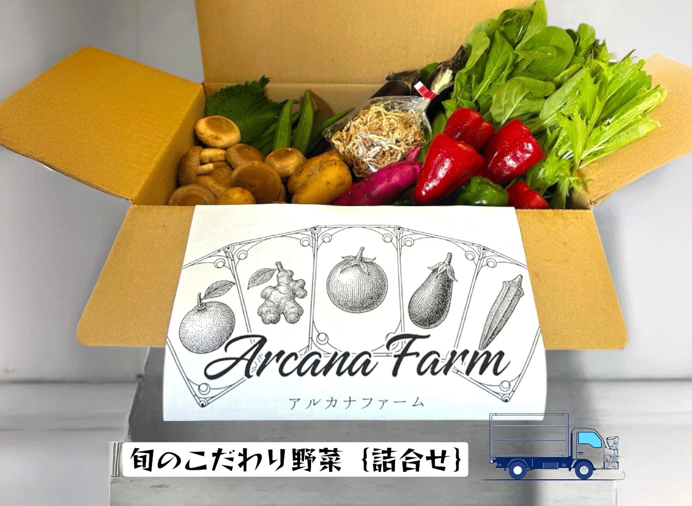 こだわりの新鮮野菜セット 8~11品目 | 野菜セット 新鮮 野菜 人気 季節の野菜 おすすめ 高知県 南国市