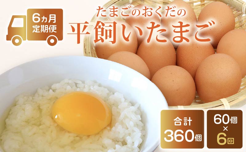 【定期便6回】 平飼い卵 60個入り たまご 卵 タマゴ 鶏卵