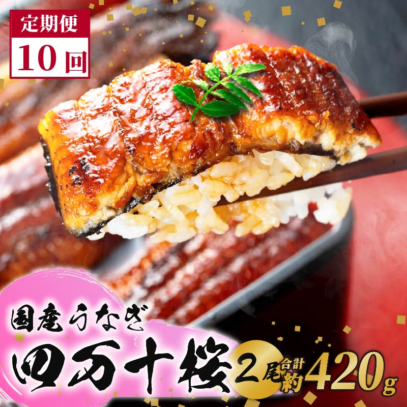 【通常用】【10回定期便】極上国産うなぎ四万十桜　蒲焼き約210g×2尾|うなぎ 鰻 蒲焼き 定期便 国産 四万十鰻 白焼き 調理済み タレ付き 頒布会 ギフト（お歳暮/お正月）高級 お取り寄せ グルメ 食べ比べ 冷凍