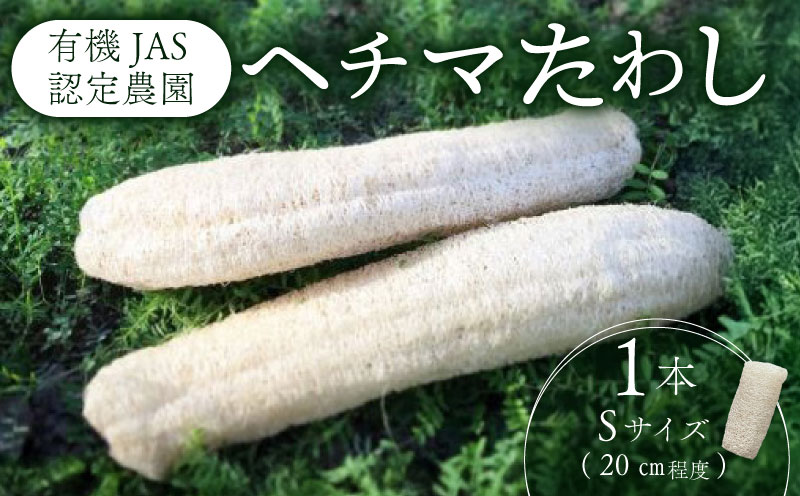 ヘチマたわし Sサイズ | 日用品 ヘチマ へちま たわし スポンジ 有機JAS認定 高知県 南国市