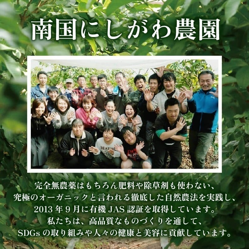 ææ©ã°ã¢ã蟲åã®ã°ã«ãã³ããªãŒçç±³ãã¹ã¿éºº 100gÃ9è¢ã»ãã | ã°ã«ãã³ ããªãŒ ãã€ãšãã å¥åº· é£å å¥åº· ã¡ã³ äººæ° ãããã é«ç¥ç ååœåž