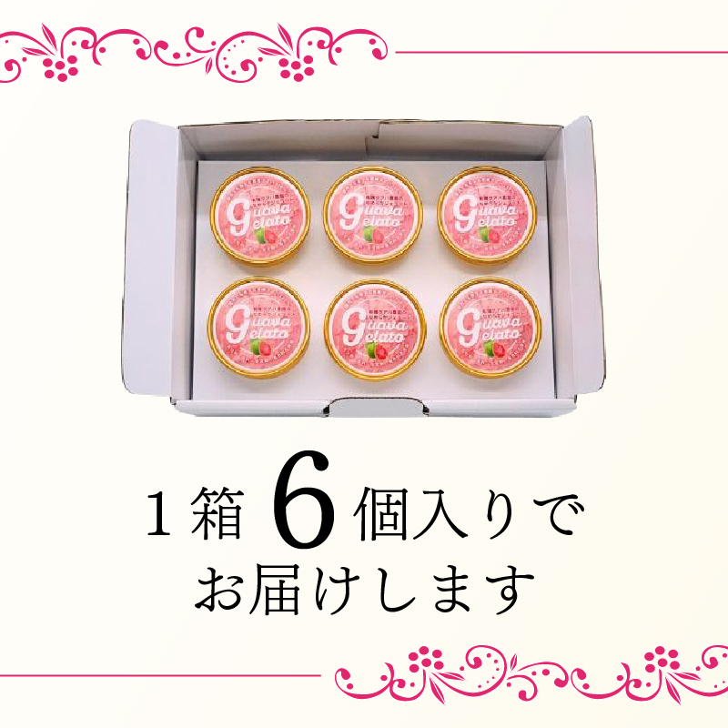 ãïŒåå
¥ããææ©ã°ã¢ã蟲åã®ãªããããžã§ã©ãŒã