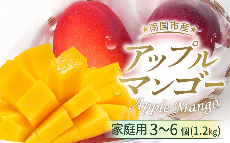 家庭用アップルマンゴー 1.2kg（2026年6月～発送）| 高知県産 マンゴー アップルマンゴー フルーツ 果物 厳選 人気 デザート 贈り物 くだもの 旬 お取り寄せ 訳アリマンゴー 甘い 訳あり 産地直送マンゴー 万円 西島園芸団地 高知県 南国市