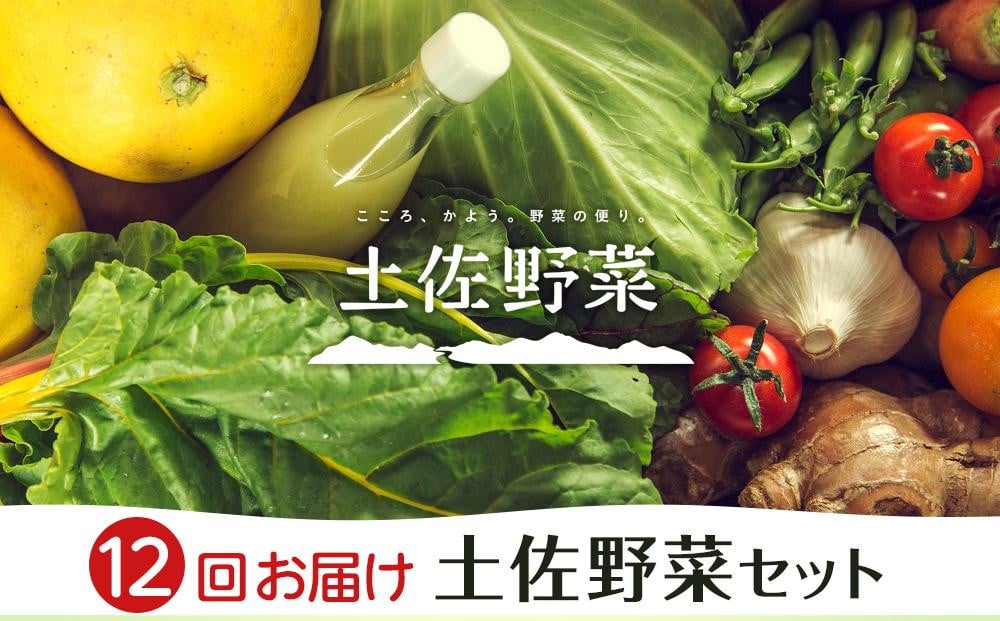 【全12回お届け】土佐野菜セット【セット 新鮮 野菜 毎月  人気 おすすめ 高知県 南国市】