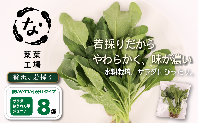 葉野菜 若採り サラダ ほうれん草 ジュニア | ベビー ほうれんそう ホウレンソウ 水菜 ミズナ 生食 野菜 セット 新鮮 健康 人気 おすすめ 高知県 南国市
