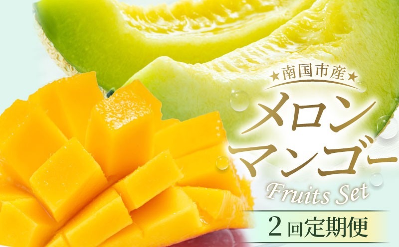 【年2回定期便】メロン・マンゴー (指定月発送) | 定期便 マスクメロン 西島マンゴー フルーツ 果物 厳選 高級 青肉メロン 人気 デザート ギフト プレゼント 贈り物 くだもの 旬 お取り寄せ ギフト メロン 甘い メロン 高糖度メロン 先行予約 産地直送マンゴー メロン 高知県 南国市