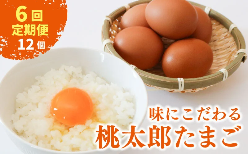 【6回定期便】タマゴ好きにはたまらない 桃太郎たまご 6個入り×2セット | 定期便 毎月 たまご 卵 鶏卵 たまごかけごはん たまごかけ TKG ブランド おいしい 高級 人気 おすすめ 高知県 南国市