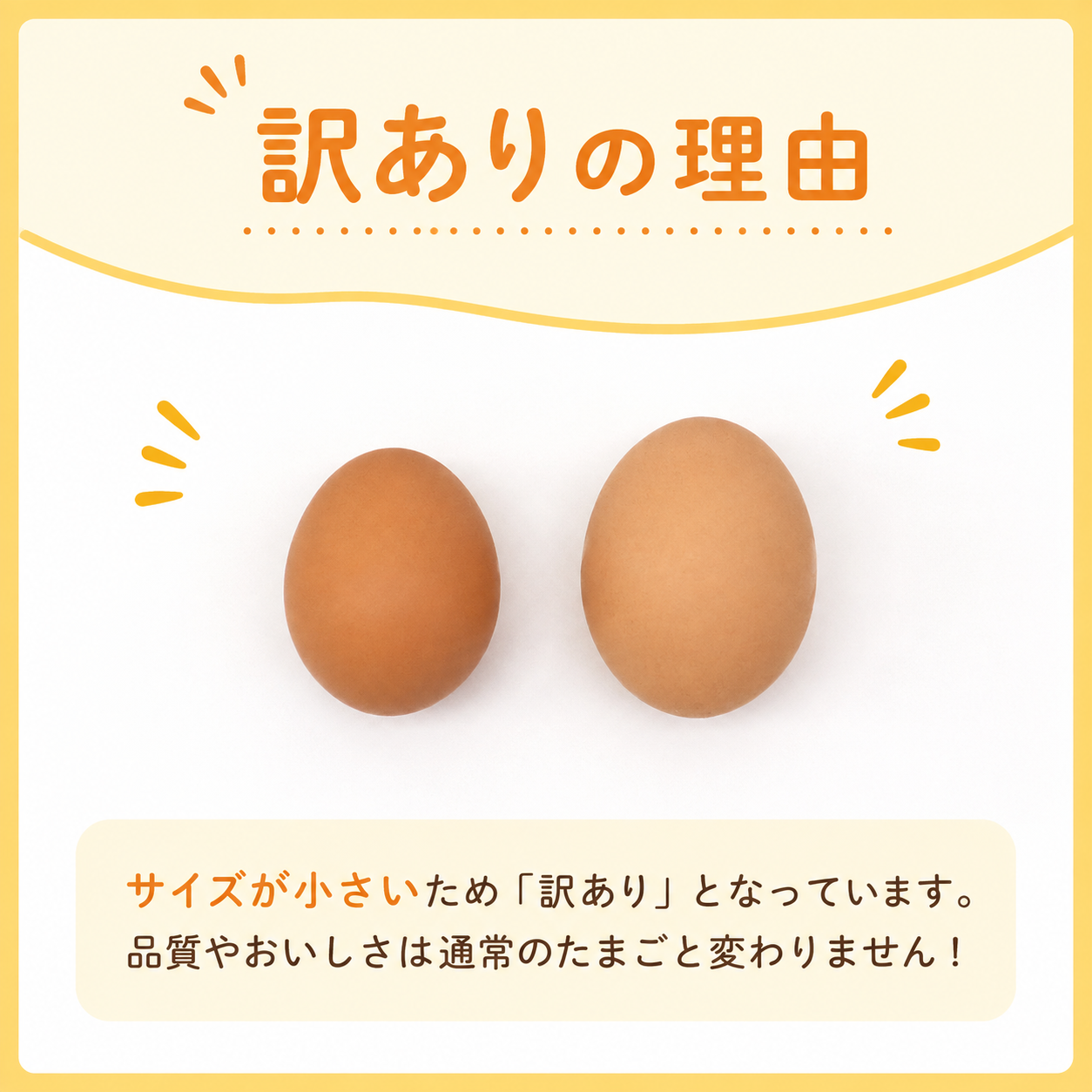 【訳あり】平飼い卵 20個入り (10個×2パック) | たまご 卵 タマゴ 鶏卵 たまごかけごはん 目玉焼き オムレツ 卵かけご飯 たまご焼き おいしい 人気 おすすめ  高知県 南国市