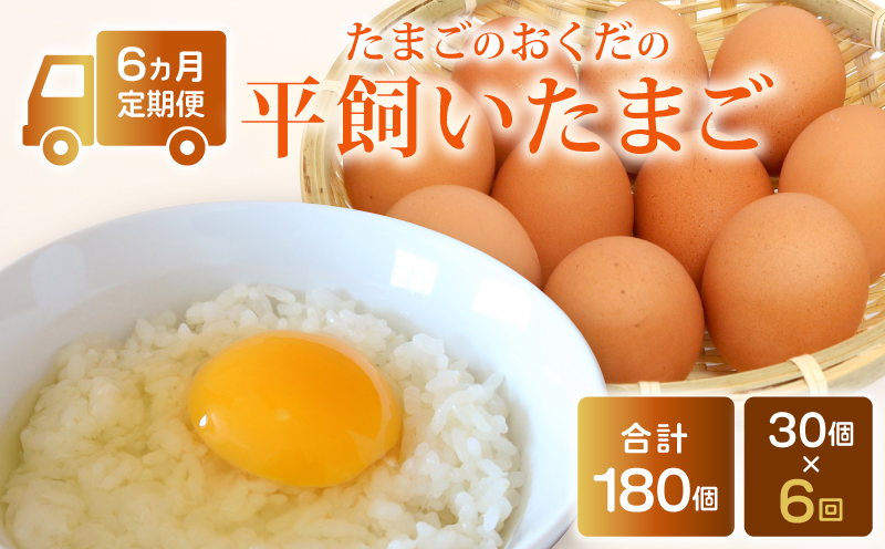 【定期便6回】 平飼い卵 30個入り たまご 卵 タマゴ 鶏卵