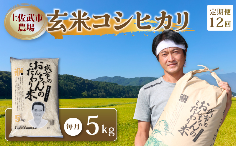 【先行予約】 新米 【お米定期便】 玄米 コシヒカリ 【12回】 5キロ 5㎏ 数量限定 米 コメ お米 早場米 ご飯 おにぎり こめ 令和8年度 農家直送 産地直送 ふるさと納税  定期便 高知県 南国市
