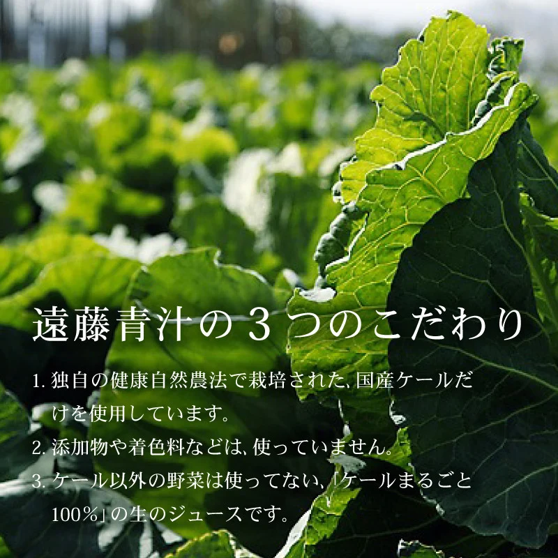 遠藤青汁とりんご青汁 【生】 冷凍 各28袋×2種セット 計5.6kg( 100g × 56袋 ) | 健康 美容 乳酸菌 国産 ケール ビタミン ミネラル 食物繊維 冷凍 ロングセラー お試し青汁 遠藤青汁 新鮮 高知県 南国市
