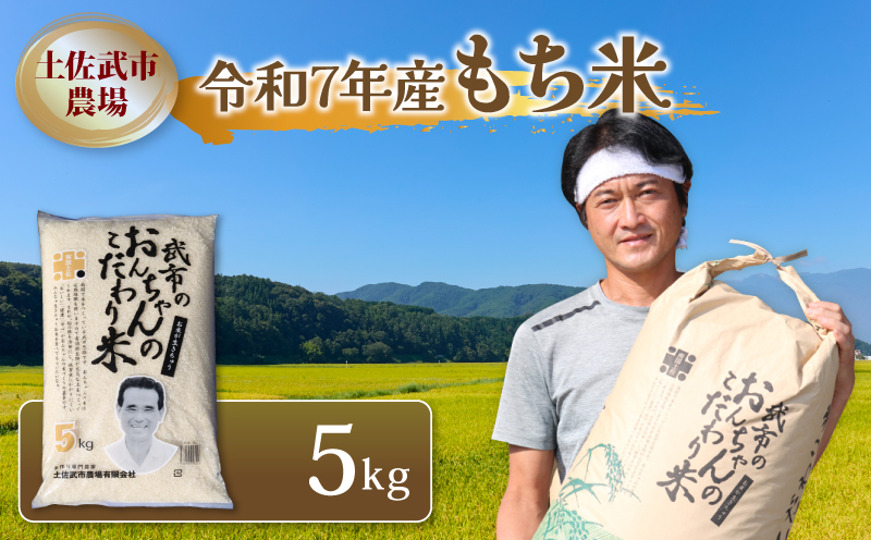 令和7年度 もち米 5キロ 数量限定 餅米 もちごめ 白米 高知県 南国市