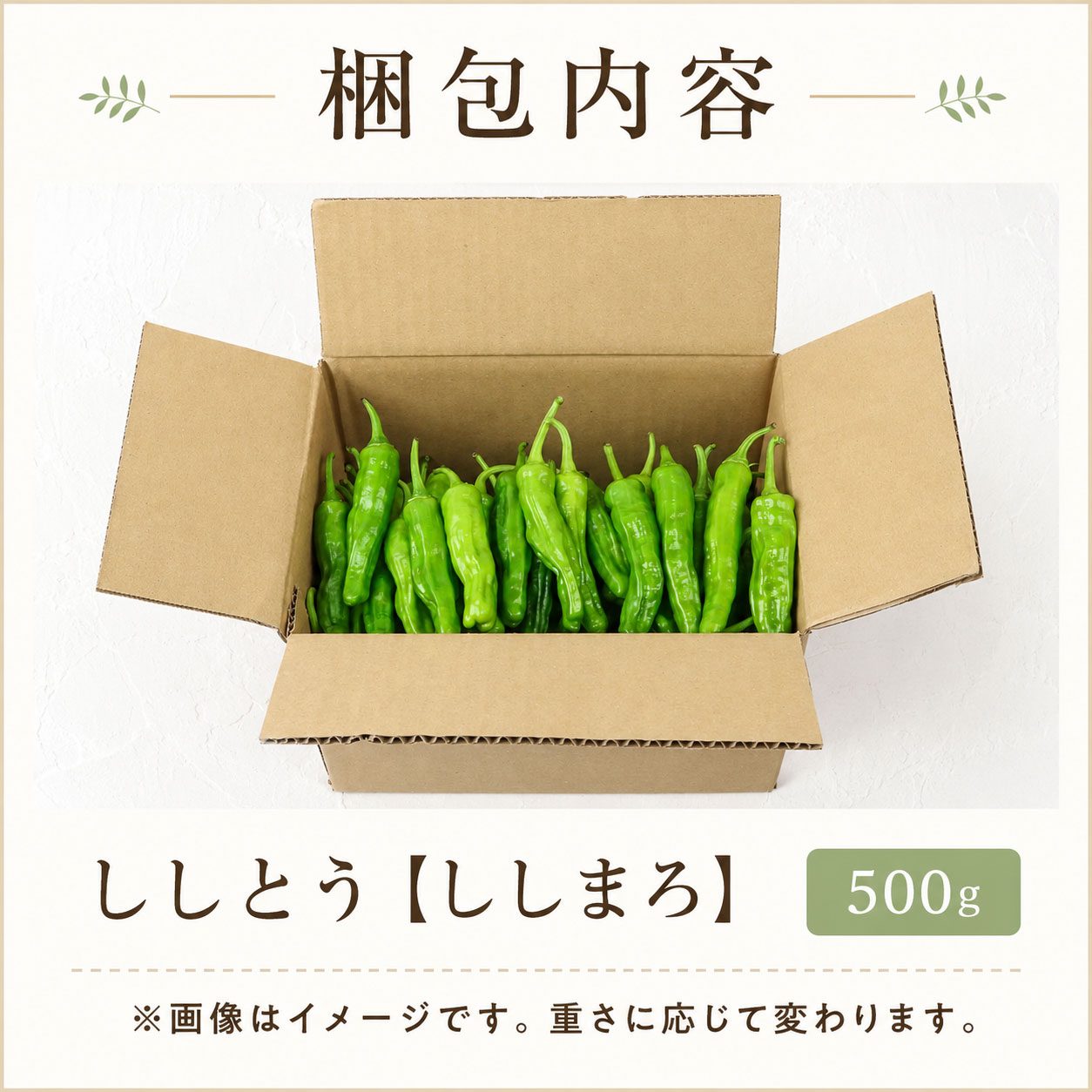 【先行予約】 ししとう 500g 辛くない シシトウ 新鮮 野菜 ししまろ 獅子唐 炒め物 野菜炒め 天ぷら バーベキュー BBQ  高知県 南国市