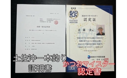 もちもち食感極みかつお　刺身250g×2節＆藁焼きたたき250g×2節　【鰹 たたき かつおのたたき わら焼き 魚 魚介 刺身 刺し身 人気 かつお 高級 極み 高知県 南国市】