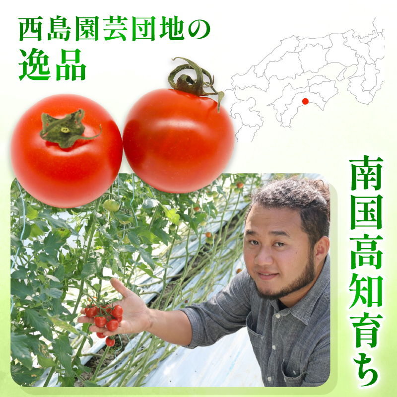 ãã«ãã£ã«ããã 1kg | å
è¡äºçŽ ããã ãã«ãã£ã«ããã ãšãŸãš ãã«ãŒã æç© éè å³éž äººæ° ã®ãã ãã¬ãŒã³ã èŽãç© ãã ãã® æ¬ ãåãå¯ã çã ç£å°çŽéããã å£ç¯éå® æééå® è¥¿å³¶åèžå£å° é«ç¥ç ååœåž