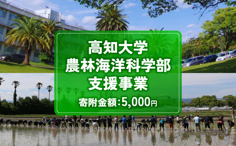 【返礼品なし/5,000円】 高知大学 農林海洋科学部 支援事業(教育・研究・地域貢献を支える寄附) | 実習・フィールドワーク支援 研究支援 地域貢献活動支援 人材育成 高知県 南国市 高知大
