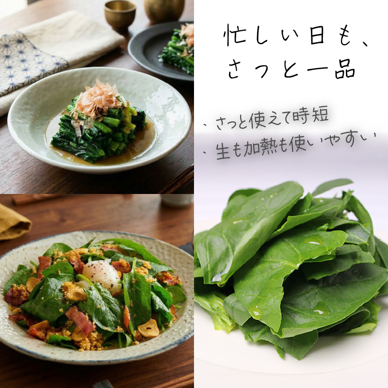 葉野菜 サラダ ほうれん草 | ほうれんそう ホウレンソウ 水菜 ミズナ 生食 野菜 セット 新鮮 健康 人気 おすすめ 高知県 南国市