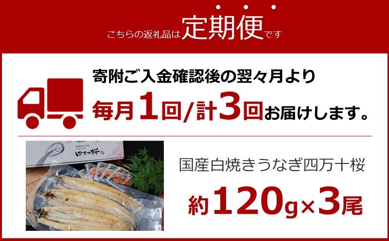 【3回定期便】極上国産うなぎ四万十桜　白焼き3尾セット×3回　ちょうどぼっちりサイズです