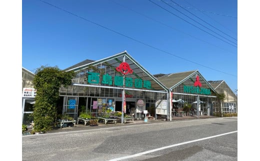 高知県南国市産／贈答用マスクメロン（4個）【メロン フルーツ くだもの デザート 高評価 厳選 高級 ギフト 贈り物 人気 おすすめ】【メロン マスクメロン フルーツ 果物 くだもの 食品 デザート 高評価 厳選 高級 ギフト 贈り物 人気 おすすめ 】