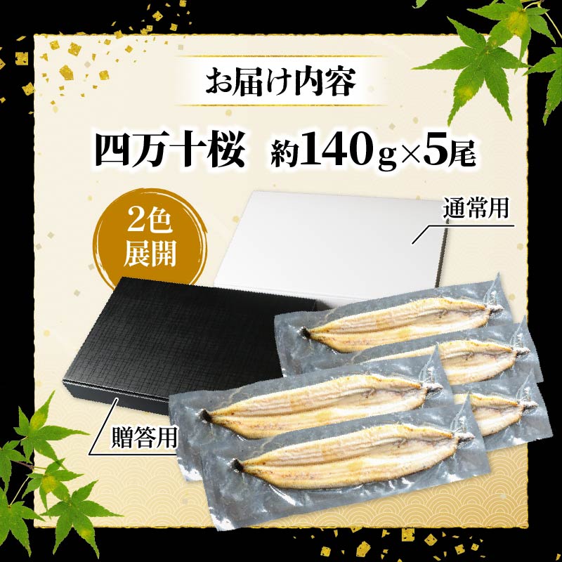 【通常用】【4回定期便】極上国産うなぎ四万十桜 白焼き約140g✕5尾 | うなぎ 鰻 ウナギ 白焼き 定期便 国産 四万十鰻 ウナギ 蒲焼き 調理済み タレ付き 頒布会 ギフト（お歳暮/お正月）高級 お取り寄せ グルメ 食べ比べ 冷凍