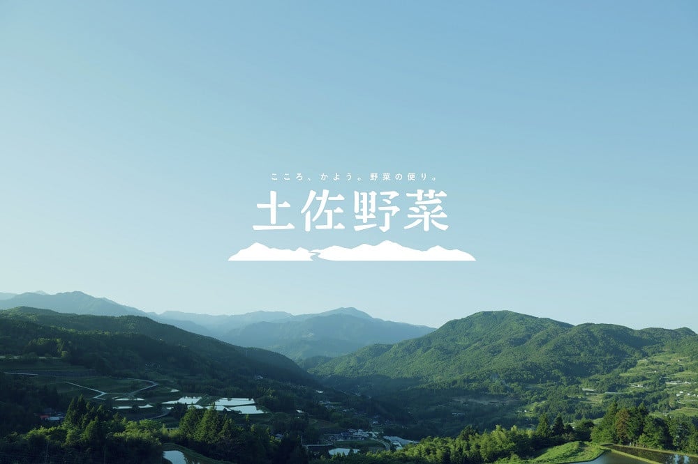 縲主ョ壽悄萓ソ 蜈ィ12蝗槭冗┌霎イ阮ャ逕溷ァ100g縺ィ譌ャ縺ョ驥手除縺ョ隧ー繧∝粋繧上○縲仙悄菴宣手除縲代舌そ繝繝 譁ー魄ョ 驥手除 豈取怦 莠コ豌 縺翫☆縺吶a 鬮倡衍逵 蜊怜嵜蟶ゅ