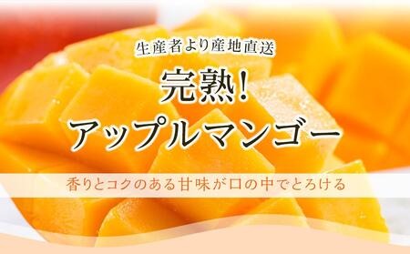 【先行予約】高知県南国市産／メロン・マンゴーセット（2026年6月〜発送）【フルーツ くだもの デザート 詰め合わせ セット 高評価 厳選 ギフト 贈り物 人気 おすすめ】【メロン マンゴー フルーツ 旬 果物 くだもの 詰め合わせ セット 高評価 厳選 贈答 ギフト 人気 おすすめ 高知県 南国市】