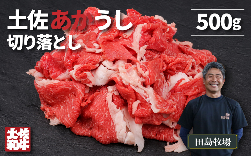 土佐 あかうし 赤牛 赤身 切り落とし 500g | 和牛 あか牛 アカウシ 牛肉 希少 ブランド 国産 プレゼント ギフト 冷凍 贈答 高知県 南国市