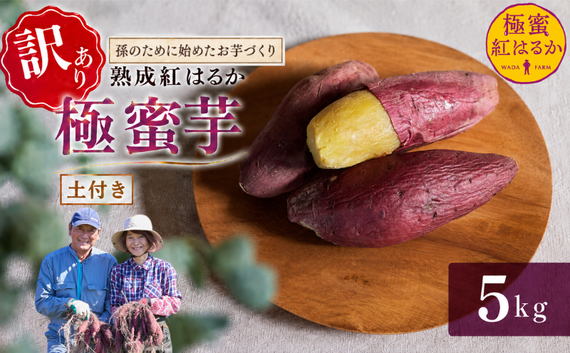 【 冬季 限定 】 【 先行予約 】 【 訳あり 】 高知県産 土付き 熟成紅はるか 極蜜芋 5kg ｜ 紅はるか さつまいも 生芋 熟成芋 高知 焼き芋 やきいも おやつ 農家直送 産地直送 WADA FARM 高知県 南国市