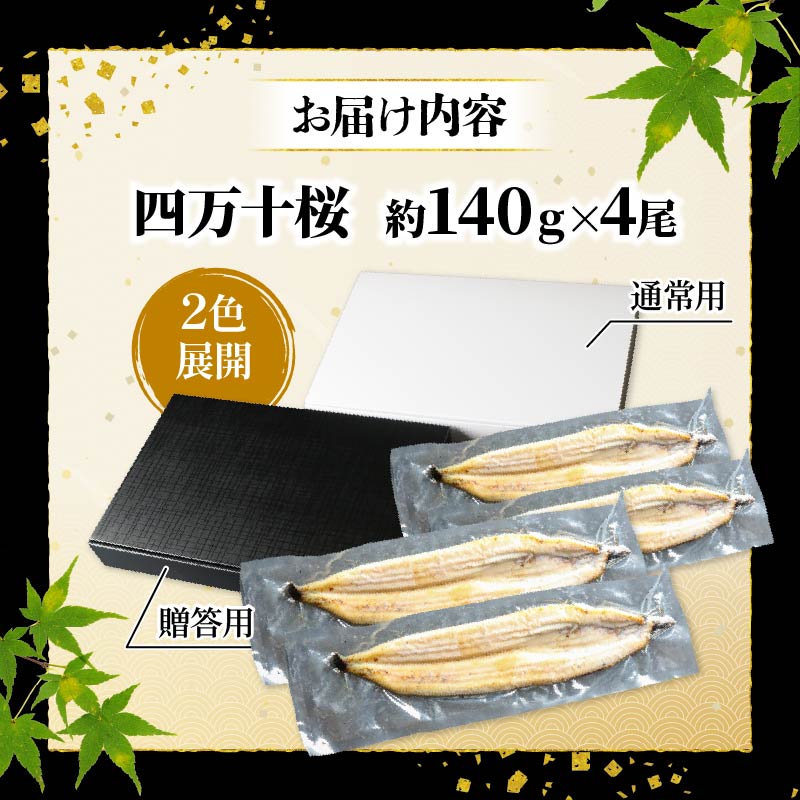 【通常用】【12回定期便】極上国産うなぎ四万十桜 白焼き約140g✕4尾 | うなぎ 鰻 ウナギ 白焼き 定期便 国産 四万十鰻 ウナギ 蒲焼き 調理済み タレ付き 頒布会 ギフト（お歳暮/お正月）高級 お取り寄せ グルメ 食べ比べ 冷凍