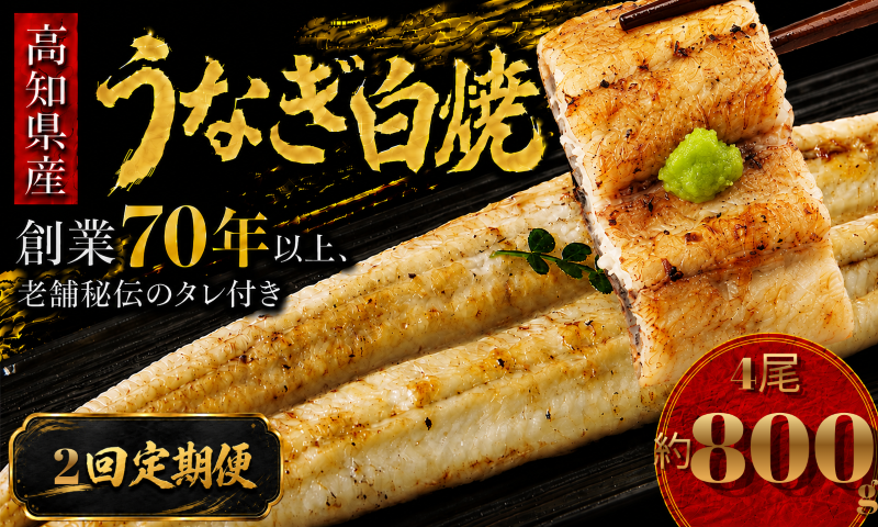 【2回 定期便】 高知県産 うなぎ 白焼 4尾 | 国産 日本産 うな重 うな丼 鰻 ウナギ 有頭 白焼き しらやき 土用丑の日 土用の丑の日 丑の日 魚 魚介 魚貝 海鮮 高級 贅沢 特別 老舗 初音 釜めし初音 鰻蒲焼 タレ付き タレ 贈答 お取り寄せ 冷凍 うな重 ギフト 贈り物 お祝い プレゼント ご褒美 人気 おすすめ 湯煎 簡単 調理 おかず お手軽 ご当地 グルメ 高知県 南国市