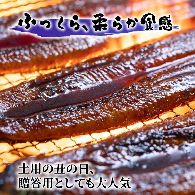 【通常用】【12回定期便】極上国産うなぎ四万十桜 蒲焼き約140g×3尾 | うなぎ 鰻 蒲焼き 定期便 国産 四万十鰻 白焼き 調理済み タレ付き 頒布会 ギフト（お歳暮/お正月）高級 お取り寄せ グルメ 食べ比べ 冷凍