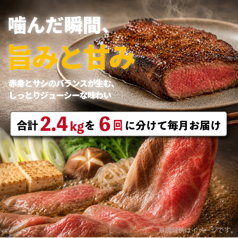 ã6å å®æäŸ¿ã åäœ ãããã èµ€ç 赀身 èŽ
æ²¢ é£ã¹æ¯ã¹ 6çš® 2.4kg | åç ããç ã¢ã«ãŠã· çè åžå° ãã©ã³ã åœç£ ãã¬ãŒã³ã ã®ãã å·å èŽç é«ç¥ç ååœåž