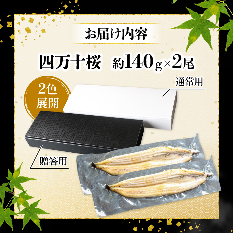 【通常用】極上国産うなぎ四万十桜 白焼き約140g×2尾 | うなぎ 鰻 白焼き 国産 四万十鰻 蒲焼き 調理済み タレ付き ギフト（お歳暮/お正月）高級 お取り寄せ グルメ 食べ比べ 冷凍