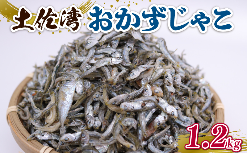 土佐湾 おかずじゃこ 1.2kg 小分け 冷凍配送 お取り寄せ 国産 おかず チリメンジャコ 海鮮 ちりめんじゃこ 高知県 南国市
