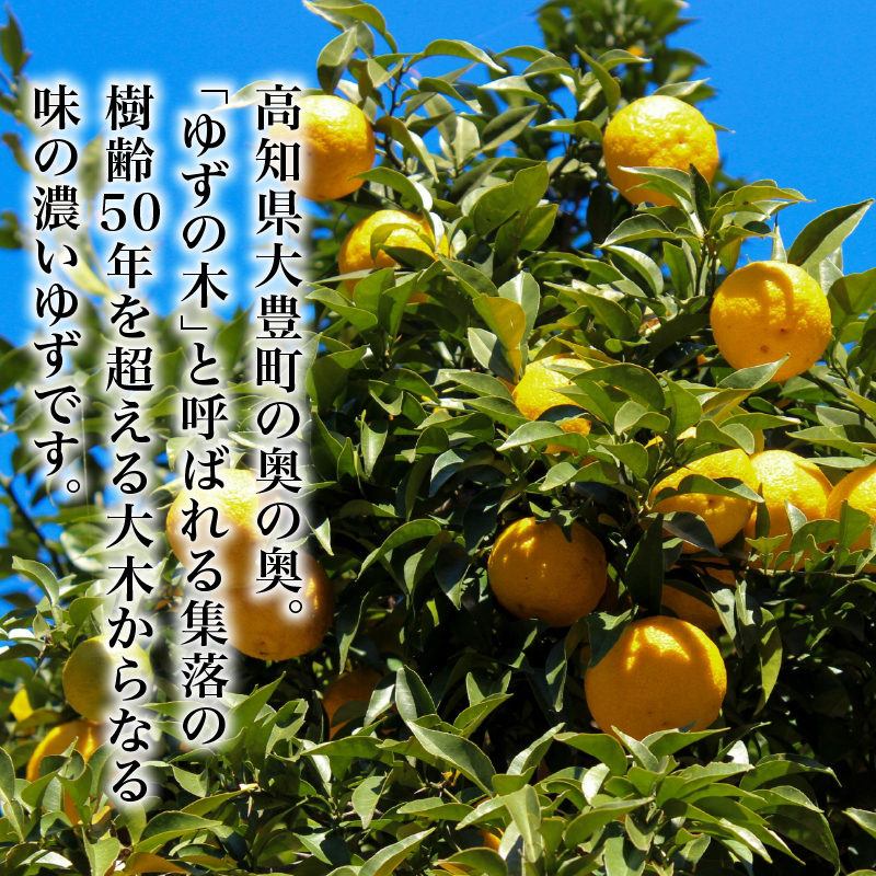 実生ゆずしぼり 100% 300ml ×2本 ユズ 柚子 果汁 ストレート お酢 ゆのす 無塩 ポン酢 お湯割り 炭酸割り ジュース お寿司 さっぱり 高知県 南国市