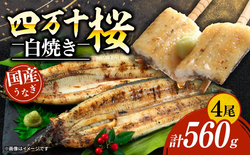 【通常用】極上国産うなぎ四万十桜 白焼き約140g×4尾 | うなぎ 鰻 白焼き 国産 四万十鰻 蒲焼き 調理済み タレ付き ギフト（お歳暮/お正月）高級 お取り寄せ グルメ 食べ比べ 冷凍