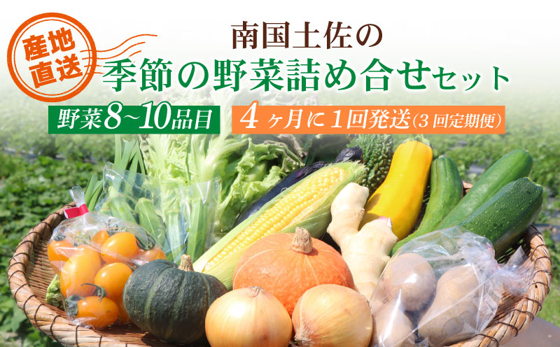 【4ヶ月に1回お届け 全3回コース】南国土佐の季節の野菜詰め合せセット | 定期便 セット 詰め合わせ 旬 やさい 野菜 卵 農家直送 お楽しみ かぼちゃ カボチャ キャベツ きゃべつ トマト とまと 玉ねぎ たまねぎ タマネギ きゅうり キュウリ 旬野菜 夏野菜 春野菜 人気 高知県 南国市