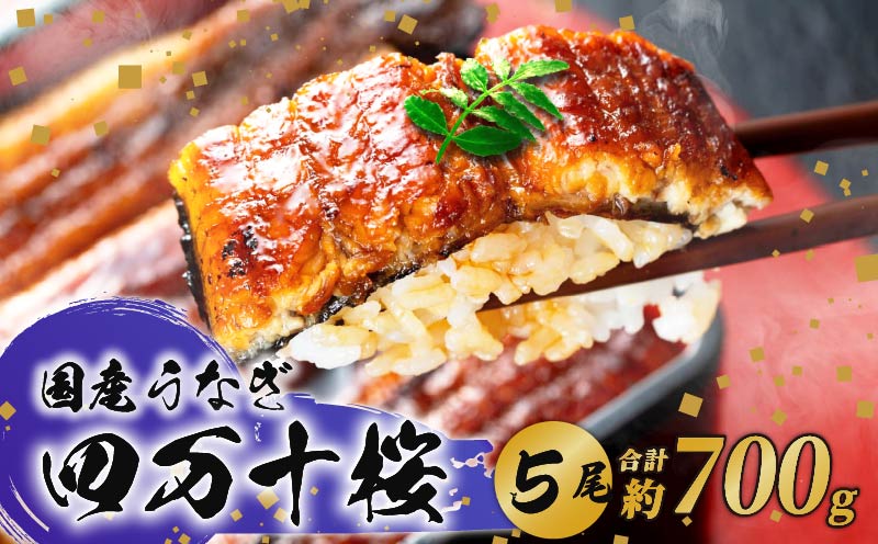 【通常用】極上国産うなぎ四万十桜 蒲焼き約140g×5尾 | うなぎ 鰻 蒲焼き 国産 四万十鰻 白焼き 調理済み タレ付き ギフト（お歳暮/お正月）高級 お取り寄せ グルメ 食べ比べ 冷凍