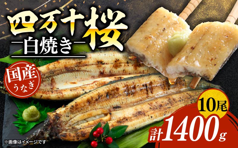 【通常用】極上国産うなぎ四万十桜 白焼き約140g×10尾 | うなぎ 鰻 白焼き 国産 四万十鰻 蒲焼き 調理済み タレ付き ギフト（お歳暮/お正月）高級 お取り寄せ グルメ 食べ比べ 冷凍