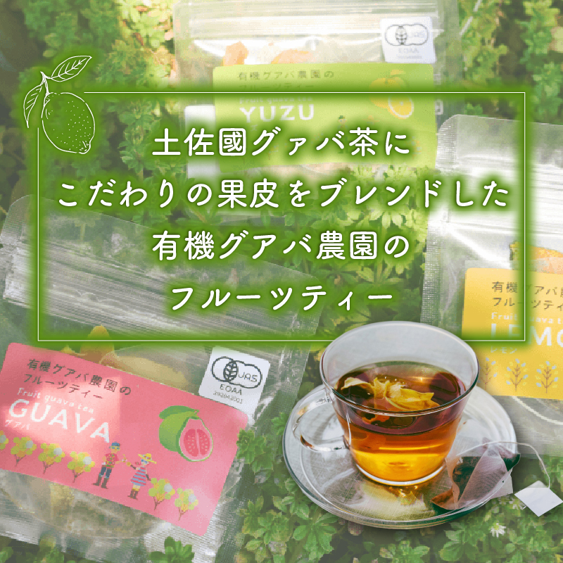 フルーツティーはじめてセット | フルーツティー フルーツ お茶 セット ティーバッグ 有機JAS認定 高知県 南国市