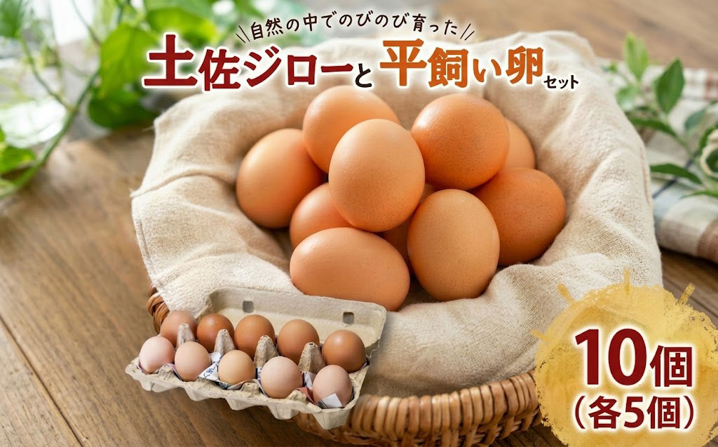 土佐ジローの卵と平飼い卵 セット 各5個(10個×1パック) 合計10個 | たまごのおくだ 新鮮 土佐ジロー 平飼い 卵 たまご 10個 鶏卵 卵黄 エッグ たまごかけ ご飯 玉子 タマゴ 玉子焼き たまご焼き すき焼き 鶏 ケーキ セット 2種 食べ比べ 産地直送 国産 ふるさと納税 高知県 南国市