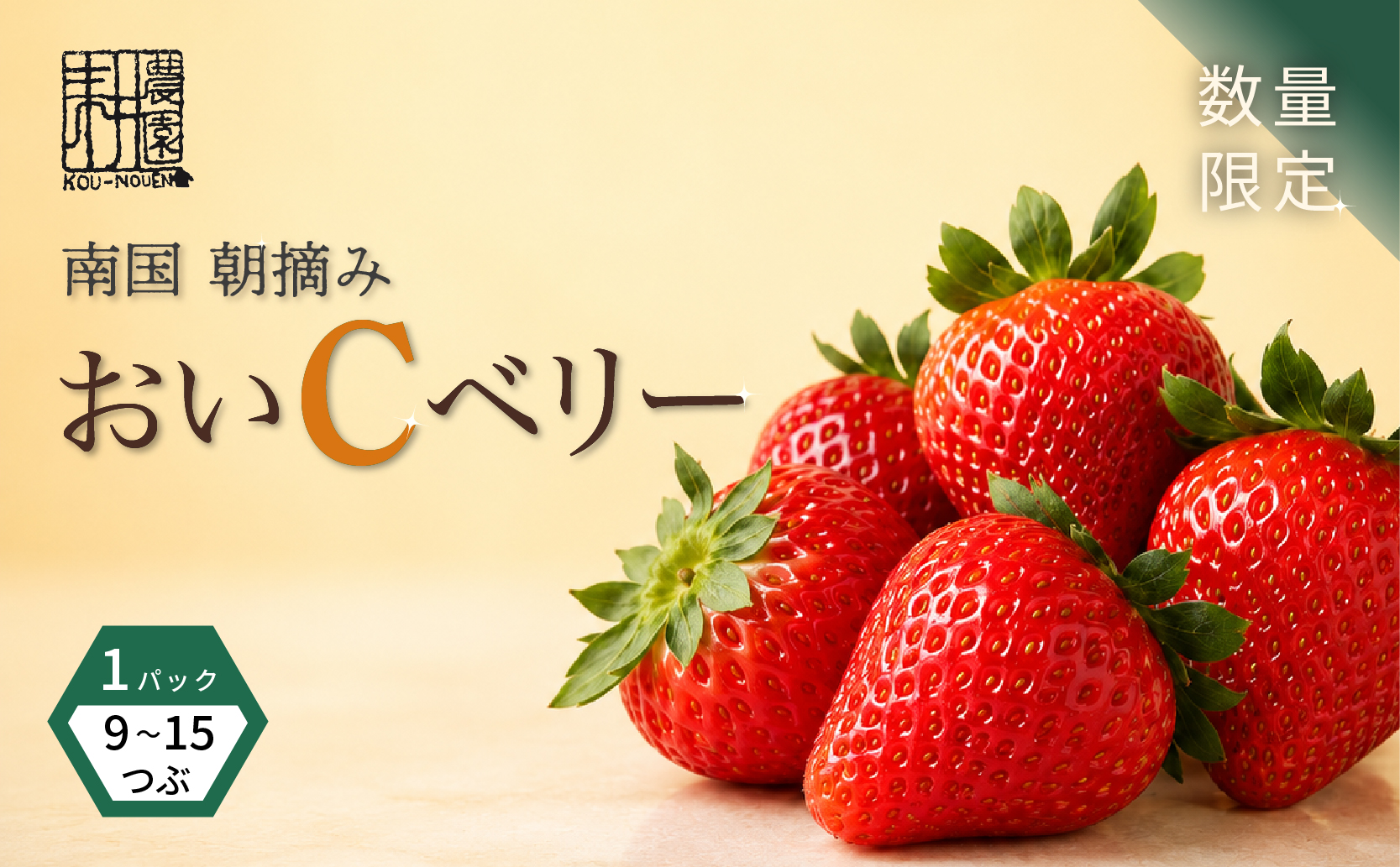 先行予約 いちご 苺 おいCベリー 贈答品 1パック：9～15粒 （2027年1月発送開始） | 紅ほっぺ 希少 新品種さちのか 高級 厳選 こだわり 贅沢 贈り物 ギフト プレゼント 限定 お取り寄せ 旬 甘い 大粒 高糖度 産地直送 期間限定 高知県 南国市