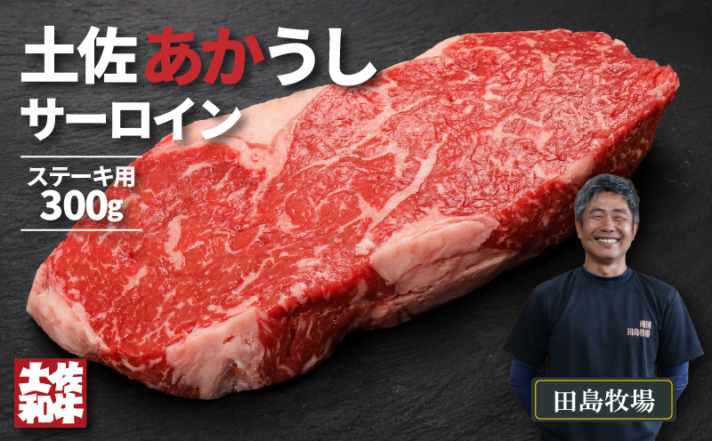 土佐 あかうし 赤牛 赤身 サーロイン ステーキ用 300g | 和牛 あか牛 アカウシ 牛肉 希少 ブランド 国産 プレゼント ギフト 冷凍 贈答 高知県 南国市