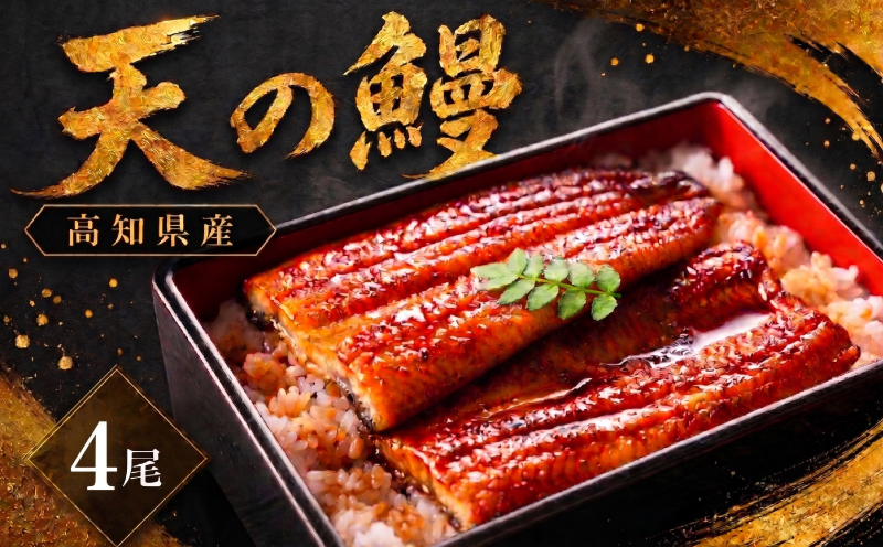 鰻 蒲焼 4尾 セット | 土佐料理司 うなぎ ウナギ 蒲焼き かばやき 丼 おすすめ 丑の日 贈答用 父の日 母の日 内祝い 出産祝い 結婚祝い お祝い 極上 御中元 ギフト用 家庭用 贈り物 極上 真空 人気 三代目天の鰻 高知県 南国市