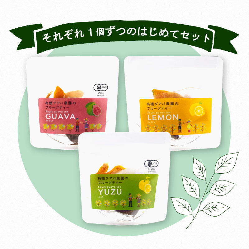 フルーツティーはじめてセット | フルーツティー フルーツ お茶 セット ティーバッグ 有機JAS認定 高知県 南国市