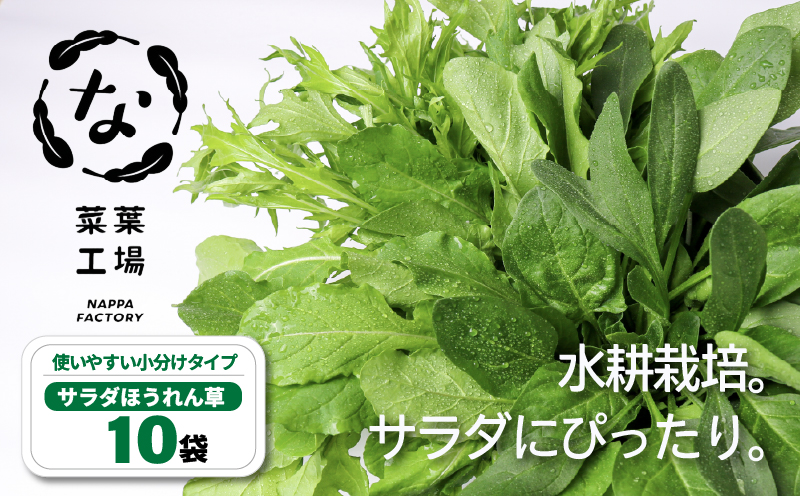 葉野菜 サラダ ほうれん草 | ほうれんそう ホウレンソウ 水菜 ミズナ 生食 野菜 セット 新鮮 健康 人気 おすすめ 高知県 南国市