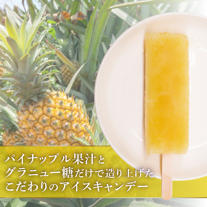 パイナップルアイスキャンデー 80ml×20本