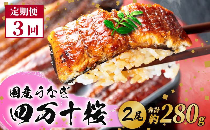 【贈答用】【3回定期便】極上国産うなぎ四万十桜 蒲焼き約140g×2尾 | うなぎ 鰻 蒲焼き 定期便 国産 四万十鰻 白焼き 調理済み タレ付き 頒布会 ギフト（お歳暮/お正月）高級 お取り寄せ グルメ 食べ比べ 冷凍