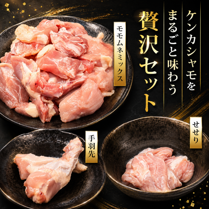 ãããã±ã³ã«ã·ã£ã¢çŒèã»ãã 8人å | 容ééããã çŒè çŒèã»ãã çŒãè BBQ ããŒããã¥ãŒ ãã£ã³ã ã¢ãŠãã㢠å·å ããã ã·ã£ã¢ è»é¶ åœç£é¶è ããã³ ãšãã«ã é¶è åœç£é¶ ãããã çŽè¡çš® 倧è»é¶ ã®ãã èŽç äŒæ¥çµåãããã·ã£ã¢ç ç©¶äŒ é«ç¥ç ååœåž