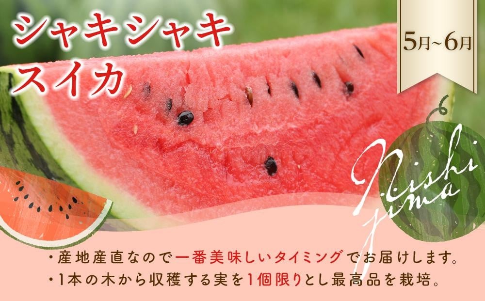 ã幎4å æ¬ã®ãã«ãŒãå®æäŸ¿ãå£ç¯ã®ãã«ãŒãã»ããïœãã¡ã ã¹ã€ã« ãã³ãŽãŒ ã¡ãã³ ãã«ãŒã å®æäŸ¿ ãµããŒã€å®æäŸ¿ æç©å®æäŸ¿ æ¬ å€ãã«ãŒã ç§ãã«ãŒã å¬ãã«ãŒã ãã ãã® èŽç ã®ãã äººæ° ãããã é«ç¥ç ååœåž